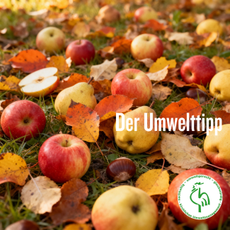 Umwelttipp Trinitatis 15
